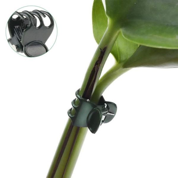 other garden supplies clips trellis for vine vegetable tomato to grow upright plant stand tool accessories support
other garden supplies clips trellis for vine vegetable tomato to grow upright plant stand tool accessories support