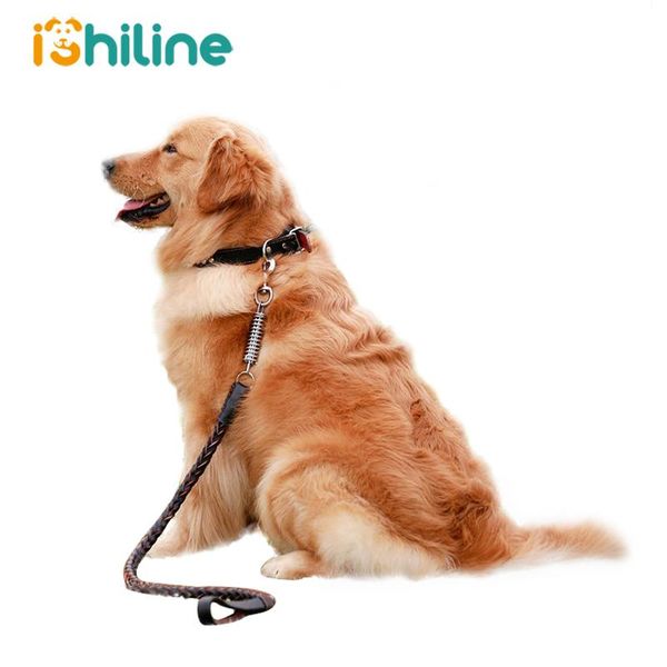 dog collars & leashes adjustable big collar genuine leather small medium large dogs cat traction rope
dog collars & leashes adjustable big collar genuine leather small medium large dogs cat traction rope