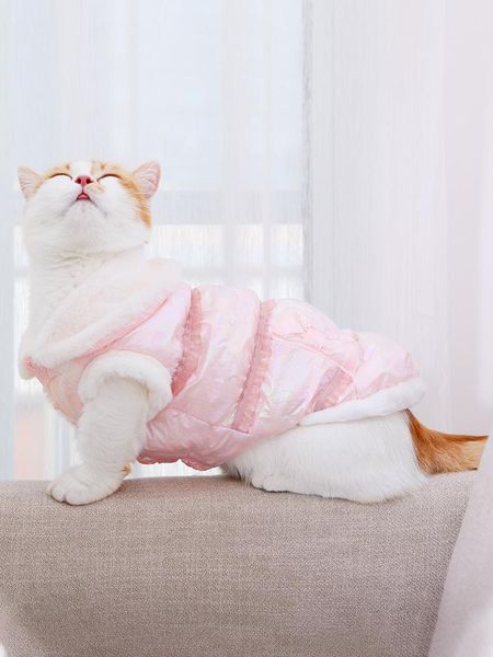 cat costumes clothes cute english short blue kitten autumn anti-hairy pet thickened winter bb50wy
cat costumes clothes cute english short blue kitten autumn anti-hairy pet thickened winter bb50wy