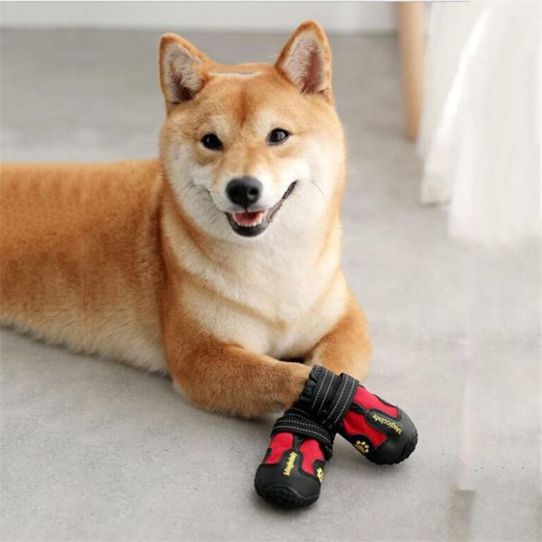 dog apparel @he pet shoes sports mountain climbing outdoor wearable non-slip waterproof and wear resistant reflective boots
dog apparel @he pet shoes sports mountain climbing outdoor wearable non-slip waterproof and wear resistant reflective boots