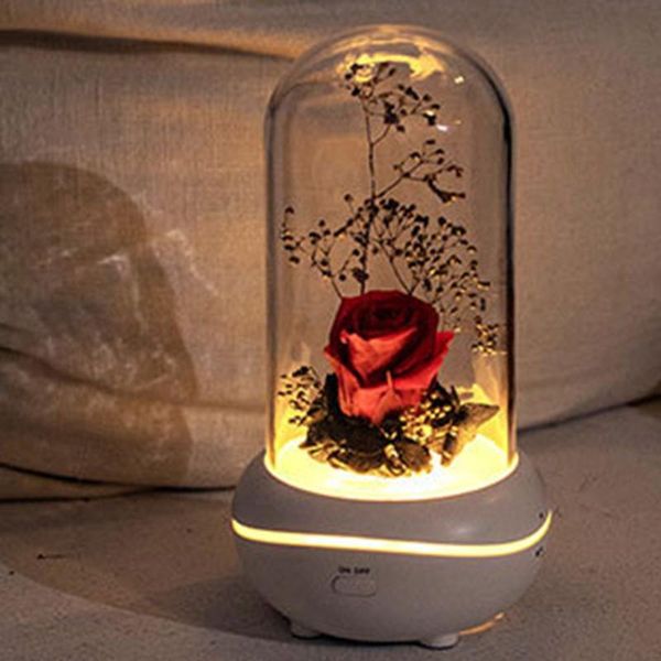 immortal flower aroma therapy machine everlasting lamp colorful light fragrance diffuser lamps
immortal flower aroma therapy machine everlasting lamp colorful light fragrance diffuser lamps