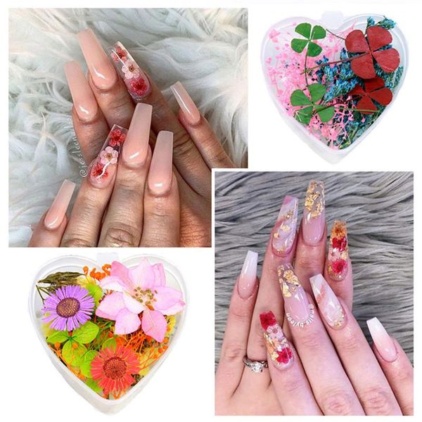 dried flower nail rhinestones set mixed butterfly foil shell paillette 3d art decoration bead manicure accessories decorations, Silver;gold
dried flower nail rhinestones set mixed butterfly foil shell paillette 3d art decoration bead manicure accessories decorations, Silver;gold