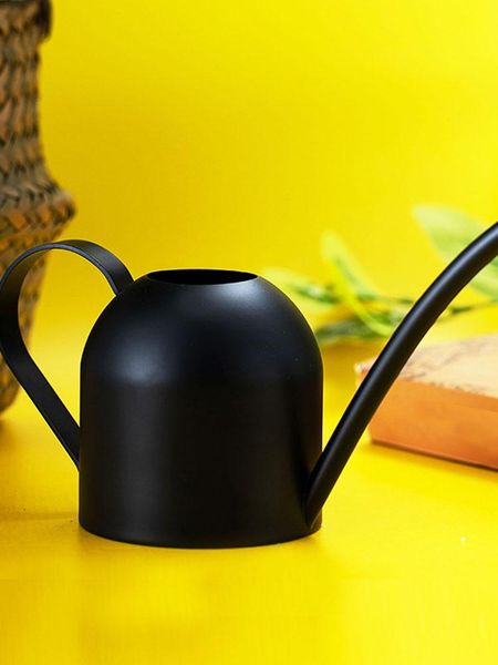 watering equipments gardening metal can long nozzle stainless steel kettle pot retro garden accessories
watering equipments gardening metal can long nozzle stainless steel kettle pot retro garden accessories