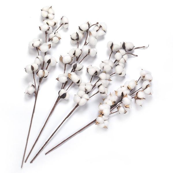 decorative flowers & wreaths dried flower cotton bouquet five-petal full simulation branch christmas decoration shooting props home floral
decorative flowers & wreaths dried flower cotton bouquet five-petal full simulation branch christmas decoration shooting props home floral
