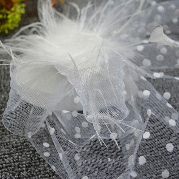 hair clips & barrettes womens retro wave point mesh veil hat fluffy feather solid color alligator clip half face cover bowknot fascinator sm, Golden;silver
hair clips & barrettes womens retro wave point mesh veil hat fluffy feather solid color alligator clip half face cover bowknot fascinator sm, Golden;silver
