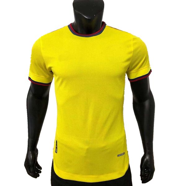 player version 2021 2022 .diaz soccer jerseys colombia mina quintero muriel falcao james cuadrado moreno 21 22 football tight shirt, Black;yellow
player version 2021 2022 .diaz soccer jerseys colombia mina quintero muriel falcao james cuadrado moreno 21 22 football tight shirt, Black;yellow