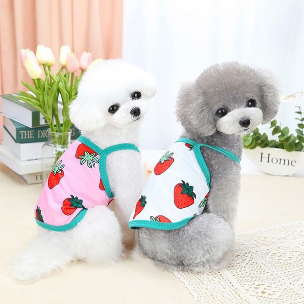 cute strawberry dog vest skirt summer cat puppy outfit yorkshire terrier maltese pomeranian shih tzu poodle bichon clothing apparel
cute strawberry dog vest skirt summer cat puppy outfit yorkshire terrier maltese pomeranian shih tzu poodle bichon clothing apparel