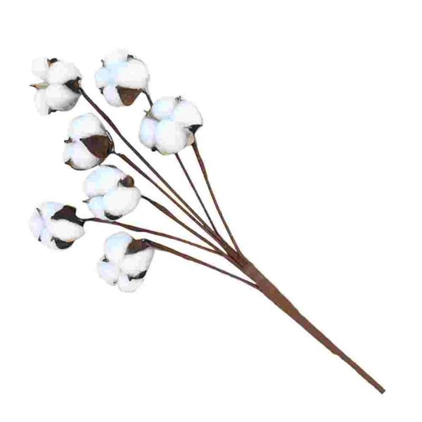 decorative flowers & wreaths natural dried cotton flower branches diy wedding home bouquets decoration
decorative flowers & wreaths natural dried cotton flower branches diy wedding home bouquets decoration