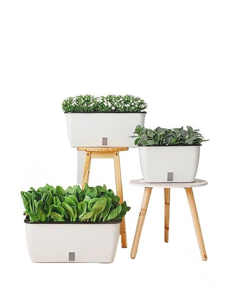 zq planting cauliflower potted vegetable box family balcony plastic self-priming decorative objects & figurines
zq planting cauliflower potted vegetable box family balcony plastic self-priming decorative objects & figurines