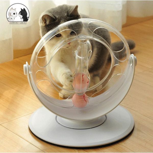 cat toys space ring puzzle toy pet interactivetoy kitten intelligence game disk kitty funny teaser rotation training ball
cat toys space ring puzzle toy pet interactivetoy kitten intelligence game disk kitty funny teaser rotation training ball