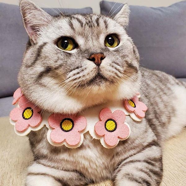 cat collars & leads saliva towel scarf lace gentle pink-purple puppy accessories love heart collar neckerchief elegant pet
cat collars & leads saliva towel scarf lace gentle pink-purple puppy accessories love heart collar neckerchief elegant pet