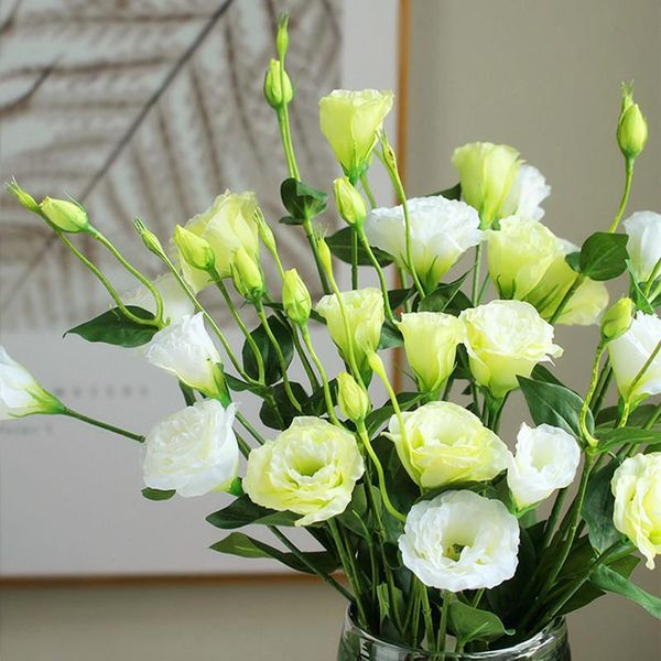 decorative flowers & wreaths eiffel eustoma gentian flower branch with leaf silk artificial for home table decor christmas fall decorations
decorative flowers & wreaths eiffel eustoma gentian flower branch with leaf silk artificial for home table decor christmas fall decorations