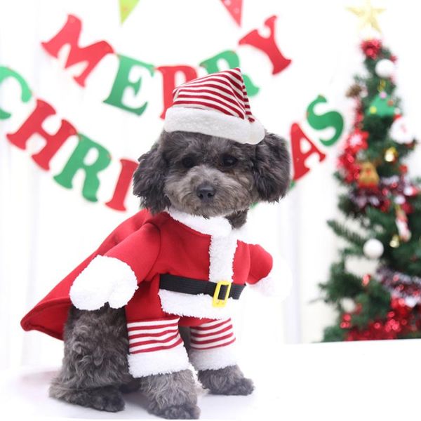 dog apparel christmas clothes hoodie winter pet outfit xmas clothing party funny costume cat puppy small large coat
dog apparel christmas clothes hoodie winter pet outfit xmas clothing party funny costume cat puppy small large coat