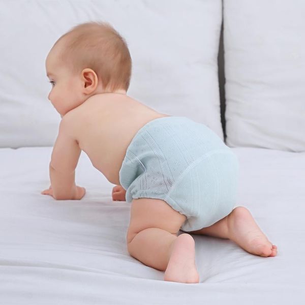 cloth diapers baby cotton diaper learning pants potty training children's clothing reusable infants underwear nappy changing grade
cloth diapers baby cotton diaper learning pants potty training children's clothing reusable infants underwear nappy changing grade