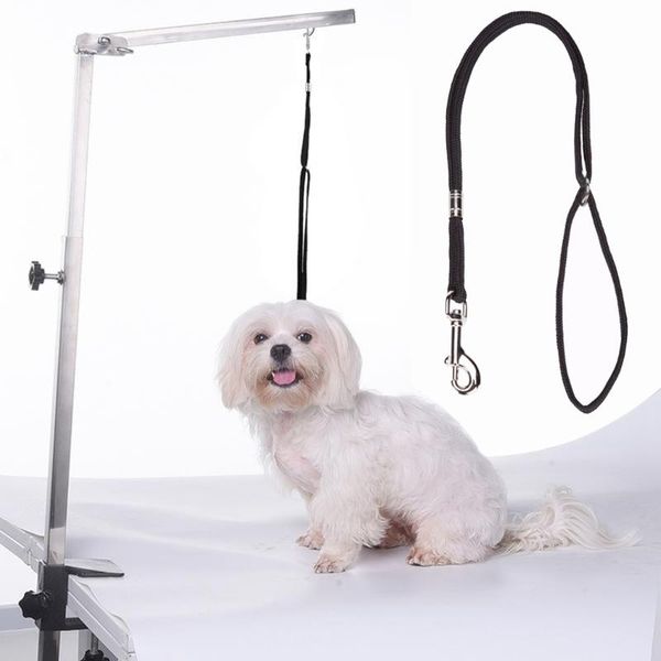 dog collars & leashes 1pc durable leash nylon pet noose loop lock clip rope harness dogs grooming table arm bath restraint drop
dog collars & leashes 1pc durable leash nylon pet noose loop lock clip rope harness dogs grooming table arm bath restraint drop