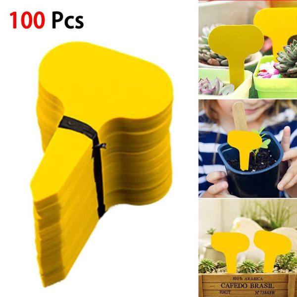 100pcs gardening plant label waterproof markers plastic insert ground card t-shaped lables graines a planter garden decorations
100pcs gardening plant label waterproof markers plastic insert ground card t-shaped lables graines a planter garden decorations