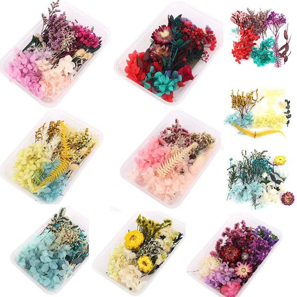 box real dried flower beautiful dry plants for candle epoxy resin pendant jewelrymaking craft diy accessories tools
box real dried flower beautiful dry plants for candle epoxy resin pendant jewelrymaking craft diy accessories tools