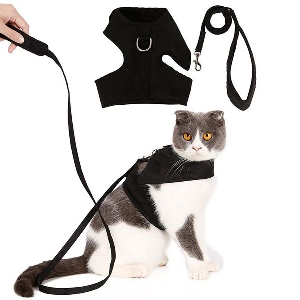 cat collars & leads harness with leash set, escape proof vest harnesses, adjustable nylon clasp, durable d-buckle pet supplier
cat collars & leads harness with leash set, escape proof vest harnesses, adjustable nylon clasp, durable d-buckle pet supplier