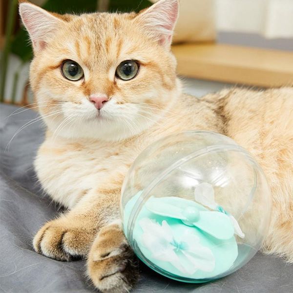 pet doggy automatic tumbler electric plastic training toy ball interactive cat teaser chew amusement plate balls supplies toys
pet doggy automatic tumbler electric plastic training toy ball interactive cat teaser chew amusement plate balls supplies toys