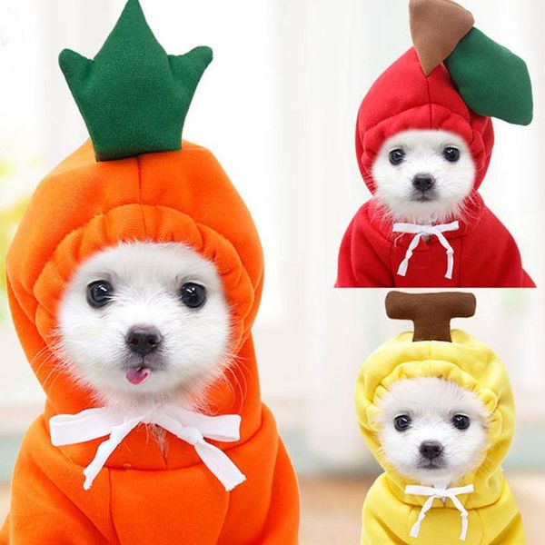 dog apparel cute sweet fruit series warm clothes hoodie pullover dogs pets clothing cat sweater autumn winter puppy accessories
dog apparel cute sweet fruit series warm clothes hoodie pullover dogs pets clothing cat sweater autumn winter puppy accessories