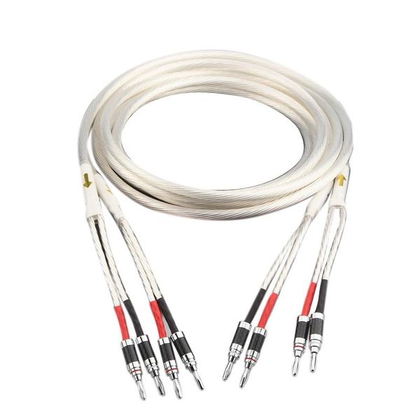 audio cables & connectors xangsane hifi silver-plated speaker cable hi-end 4n ofc wire for hi-fi systems y plug banana
audio cables & connectors xangsane hifi silver-plated speaker cable hi-end 4n ofc wire for hi-fi systems y plug banana