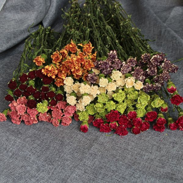mini rose natural air-dried carnation literary home decor wedding flower pgraphy backdrop diy romantic bubble
mini rose natural air-dried carnation literary home decor wedding flower pgraphy backdrop diy romantic bubble