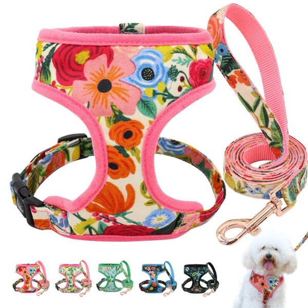 dog collars & leashes print flower harness leash set forest floral pet puppy vest adjustable for small medium large dogs chihuahua
dog collars & leashes print flower harness leash set forest floral pet puppy vest adjustable for small medium large dogs chihuahua