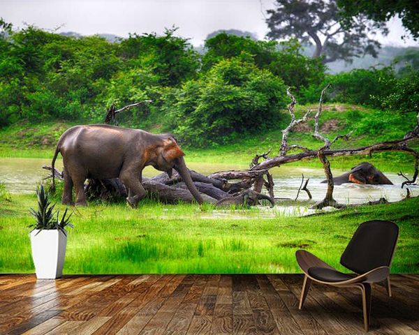 wallpapers papel de parede wild elephant trees natural landscape 3d wallpaper,living room bedroom kitchen wall papers home decor mural
wallpapers papel de parede wild elephant trees natural landscape 3d wallpaper,living room bedroom kitchen wall papers home decor mural