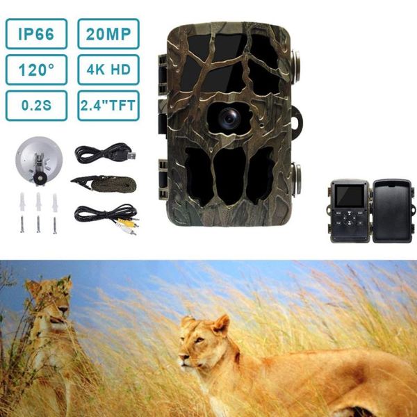 hunting video camera 20mp 1080p trail farm home security 0.2s trigger time wildlife hidden po trap hc982 surveillance cameras
hunting video camera 20mp 1080p trail farm home security 0.2s trigger time wildlife hidden po trap hc982 surveillance cameras