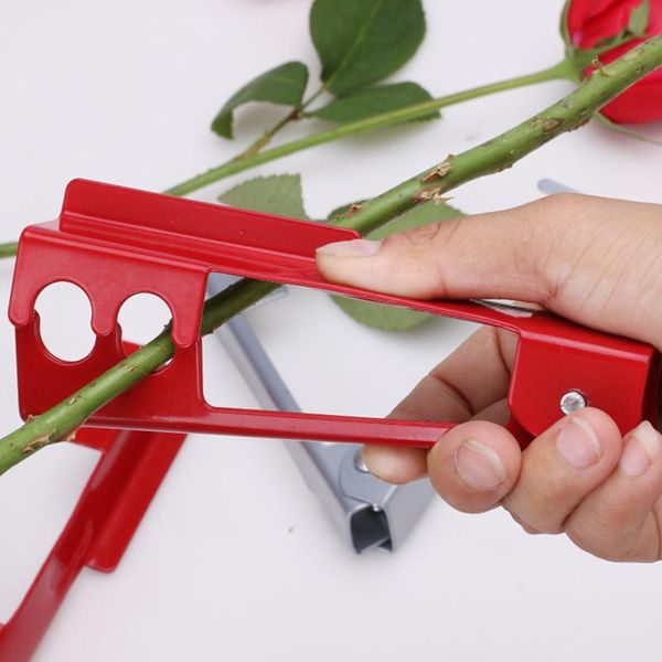 craft tools leaf thorn removal clip rose piercing pliers stab remover flower shop and tool safe durable dc156
craft tools leaf thorn removal clip rose piercing pliers stab remover flower shop and tool safe durable dc156