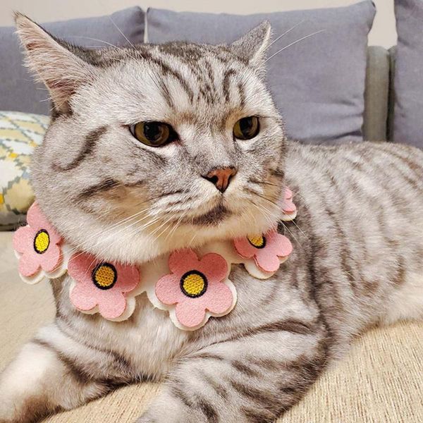 cat collars & leads pet saliva towel lace gentle pink-purple scarf love heart collar neckerchief elegant puppy accessories
cat collars & leads pet saliva towel lace gentle pink-purple scarf love heart collar neckerchief elegant puppy accessories