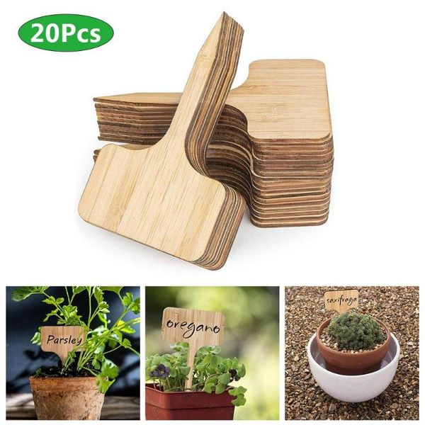 20pcs plant tag t-type nursery garden flower thick mark decoration ornaments decorations
20pcs plant tag t-type nursery garden flower thick mark decoration ornaments decorations