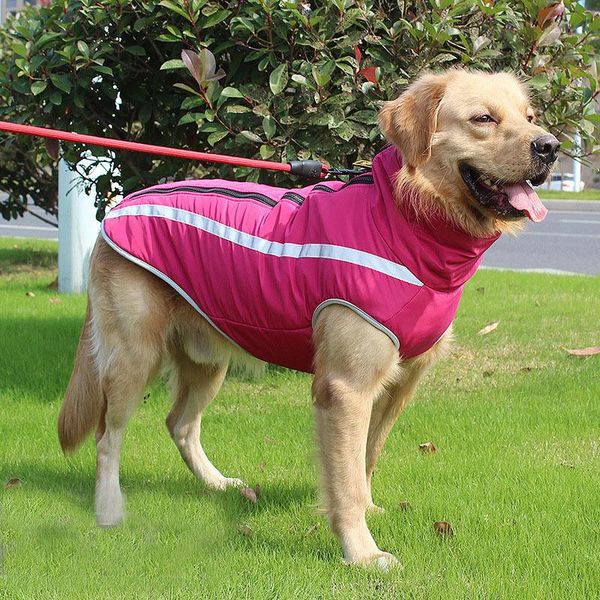 dog apparel winter clothes coat thicken cotton pet reflective warm big jackets clothing vest
dog apparel winter clothes coat thicken cotton pet reflective warm big jackets clothing vest