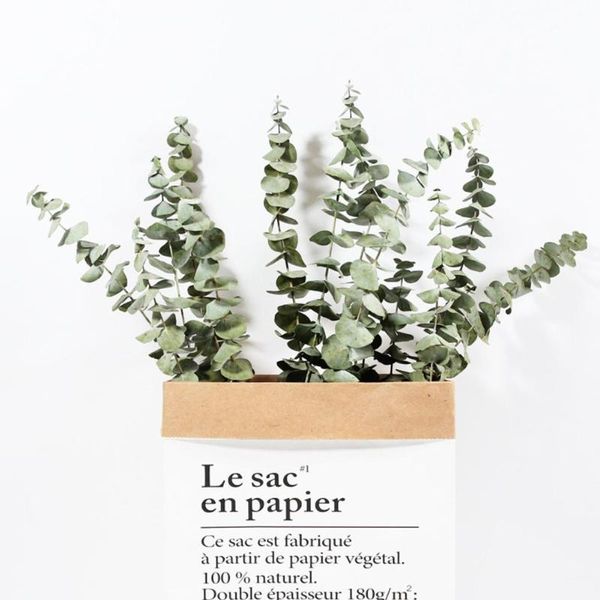 10pcs 45cm natural eucalyptus leaves branches stems flower plant dried shooting supplies for diy decoration prop wedding ho z1k0
10pcs 45cm natural eucalyptus leaves branches stems flower plant dried shooting supplies for diy decoration prop wedding ho z1k0