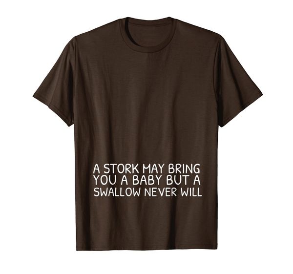A Stork May Bring You a Baby But A Swallow Never Will Shirt, Mainly pictures