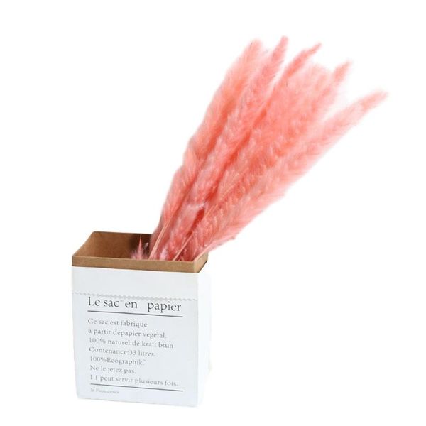 decorative flowers & wreaths 20pcs decor wedding home small pampas reed grass dried natural phragmites bouquets 3 colors
decorative flowers & wreaths 20pcs decor wedding home small pampas reed grass dried natural phragmites bouquets 3 colors