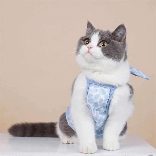pet clothes kittens cat anti-lint sling breathable british shorthair no coarse cotton cloth maltese small dog cute vest skirt costumes
pet clothes kittens cat anti-lint sling breathable british shorthair no coarse cotton cloth maltese small dog cute vest skirt costumes