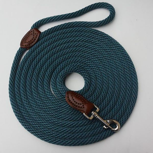 nylon strong dog rope lead leash training leather handmade 5ft 10ft 20ft 30ft long blue red brown collars & leashes
nylon strong dog rope lead leash training leather handmade 5ft 10ft 20ft 30ft long blue red brown collars & leashes