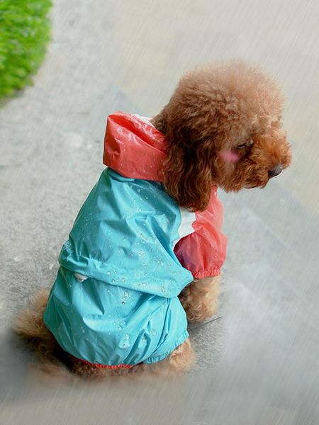 pet dog raincoat spring and summer thin clothes jumpsuit jacket water resistant four feet for dogs hooded coat apparel
pet dog raincoat spring and summer thin clothes jumpsuit jacket water resistant four feet for dogs hooded coat apparel
