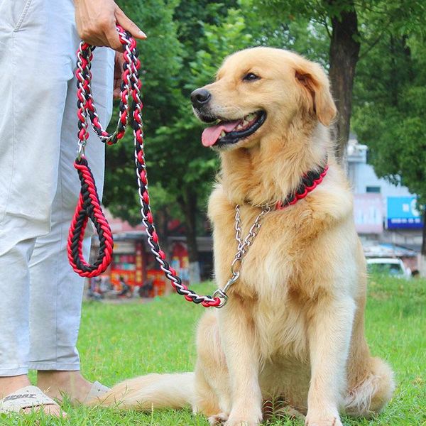 dog collars & leashes 2021 upgraded color collar rope large iron chain p pet traction set for big dogs
dog collars & leashes 2021 upgraded color collar rope large iron chain p pet traction set for big dogs