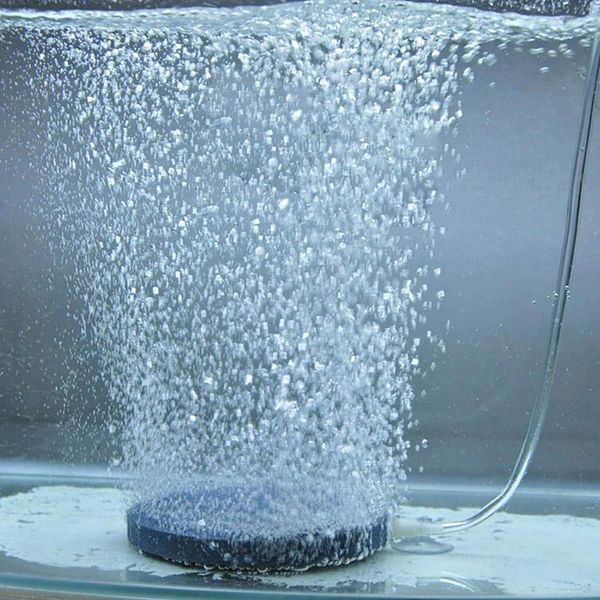 4cm air bubble stone aerator aquarium fish tank pump hydroponic oxygen plate decorations
4cm air bubble stone aerator aquarium fish tank pump hydroponic oxygen plate decorations