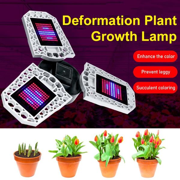 grow light full spectrum 2835 chips phyto growth lamp e26 phytolamp for indoor plant 4000k hydroponics lights
grow light full spectrum 2835 chips phyto growth lamp e26 phytolamp for indoor plant 4000k hydroponics lights