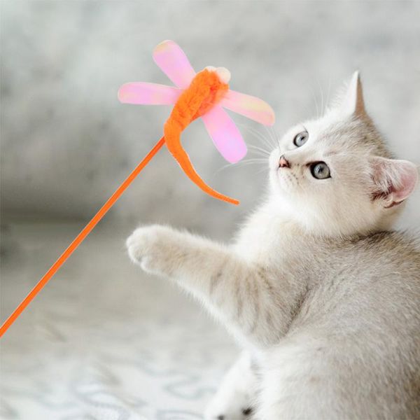 cat toys fashionable funny kitten plush catnip sequin feather interactive portable molar for pet
cat toys fashionable funny kitten plush catnip sequin feather interactive portable molar for pet