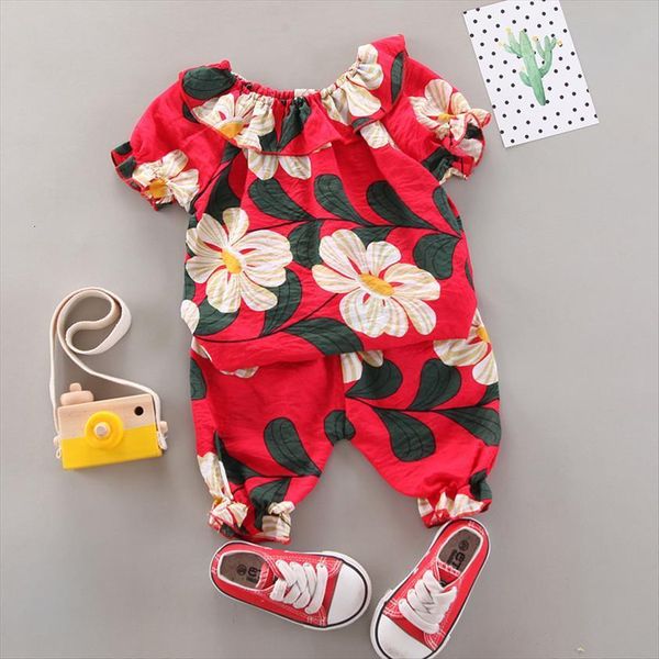 girls clothes toddler girl set cotton sport suit children clothing kids outfits for baby, White
girls clothes toddler girl set cotton sport suit children clothing kids outfits for baby, White