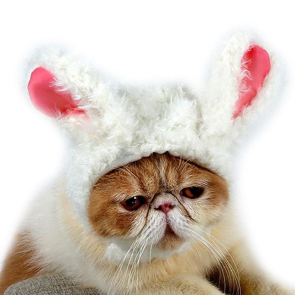 pet cat wig lions headgear hat halloween christmas costume cosplay dress up dog supplies outdoor c44 costumes
pet cat wig lions headgear hat halloween christmas costume cosplay dress up dog supplies outdoor c44 costumes