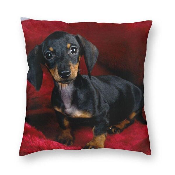 cushion/decorative pillow dachshund cushion cover printing sausage wiener badger dog square floor case for living room cool pillowcase decor
cushion/decorative pillow dachshund cushion cover printing sausage wiener badger dog square floor case for living room cool pillowcase decor