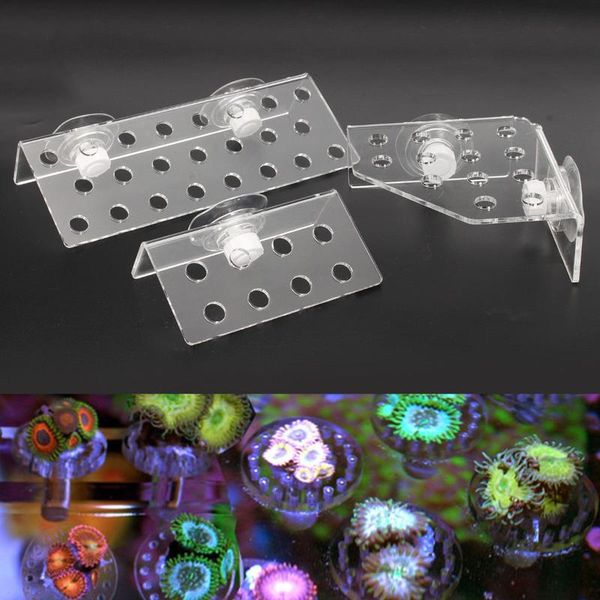 decorations 3 types acrylic aquarium plus coral rack stand bracket holds live fish tank suction cup shelf holder pet aquatic supplies
decorations 3 types acrylic aquarium plus coral rack stand bracket holds live fish tank suction cup shelf holder pet aquatic supplies