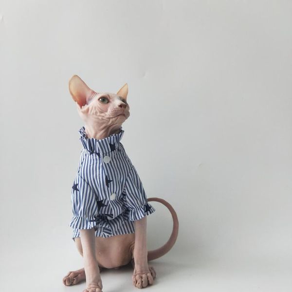 cat costumes sphinx devon rex hairless clothes striped starts printed shirt and tie kawaii kitty clothing autumn winter
cat costumes sphinx devon rex hairless clothes striped starts printed shirt and tie kawaii kitty clothing autumn winter