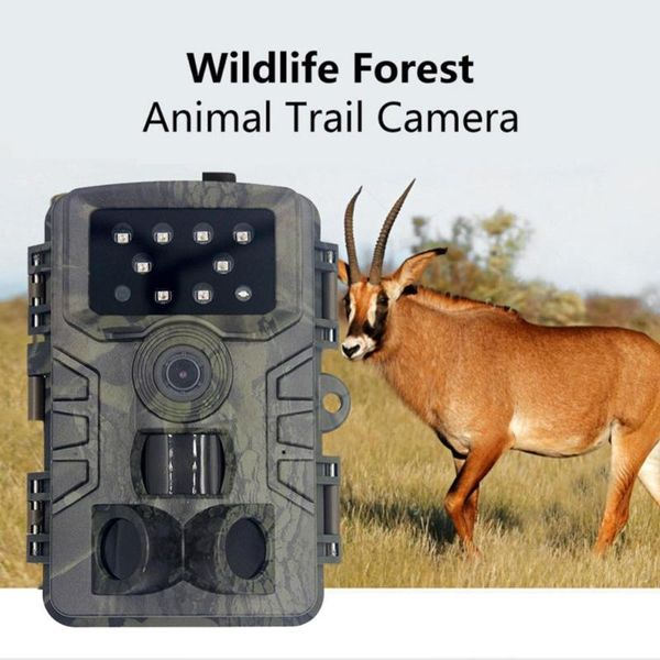 trail hunting camera pr700 ip66 waterproof night version po 0.2-0.6s trigger time wildlife cam home safety cameras
trail hunting camera pr700 ip66 waterproof night version po 0.2-0.6s trigger time wildlife cam home safety cameras