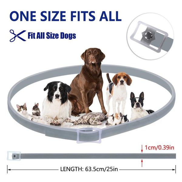 pet flea tick prevention solution-natural essential oil grey adjustable collar, safe pests control for dogs dog collars & leashes
pet flea tick prevention solution-natural essential oil grey adjustable collar, safe pests control for dogs dog collars & leashes